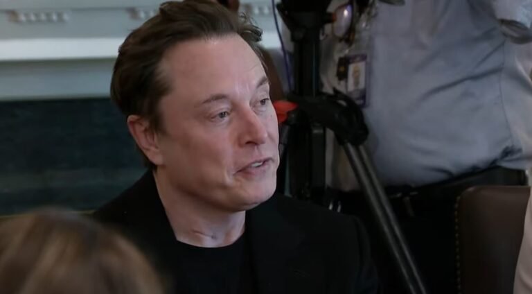 elon musk lost money